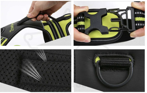 szelki Security TRUELOVE 12.png