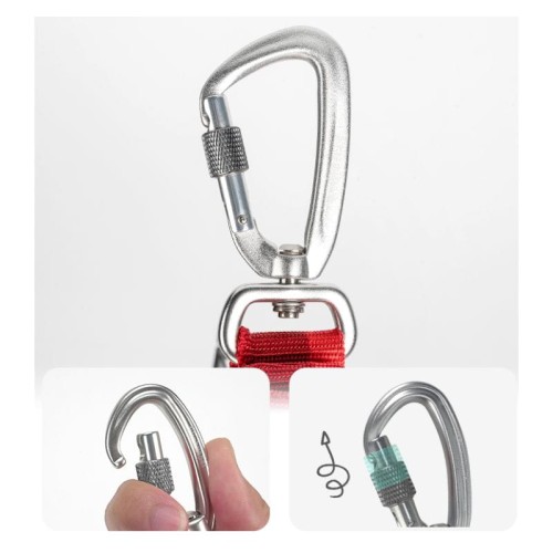 SMYCZ DOGI TRUELOVE5.jpeg