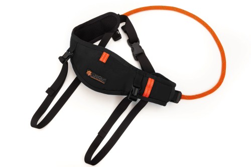 Pas do biegania z psem JoQu® Belt Plus2.jpeg