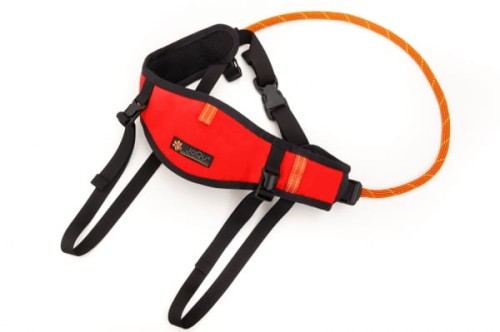 Pas do biegania z psem JoQu® Belt Plus1.jpeg