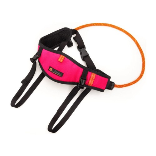 Pas do biegania z psem JoQu® Belt Plus6.jpeg