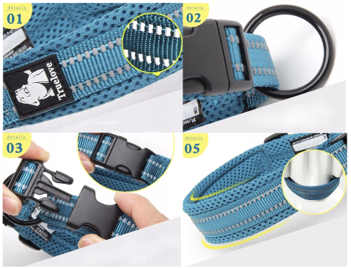 Obroża active present5.png