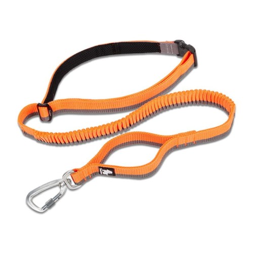 SMYCZ DOGI TRUELOVE6.jpeg