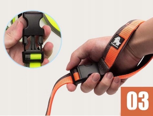 SMYCZ DOGI TRUELOVE3.jpeg