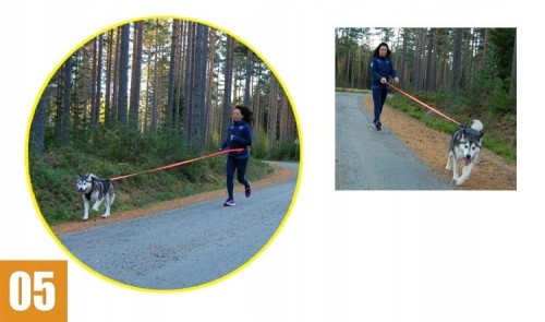 Smycz-dla-psa-z-amortyzatorem-DOGI-Truelove (6).jpg