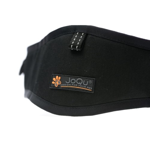 pas belt joqu 14.jpeg