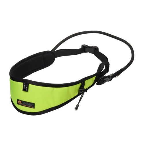 pas belt joqu 116.jpeg