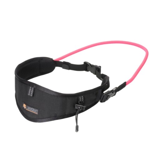 pas belt joqu 115.jpeg